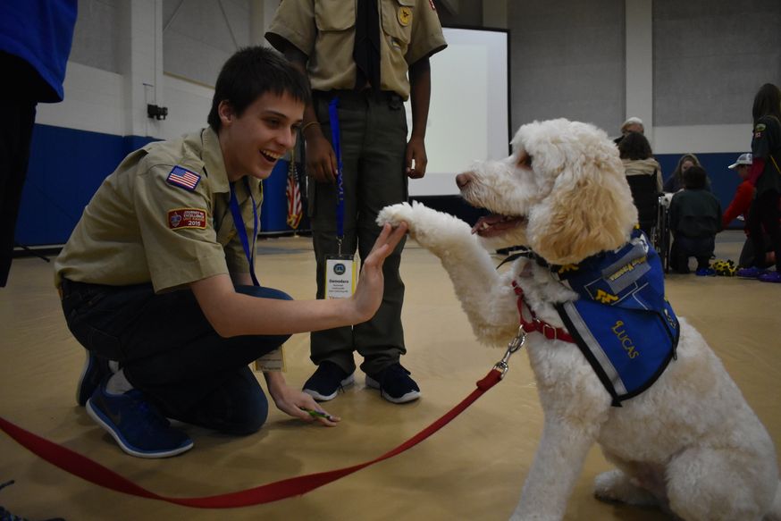 Boy scout playing with service dog.